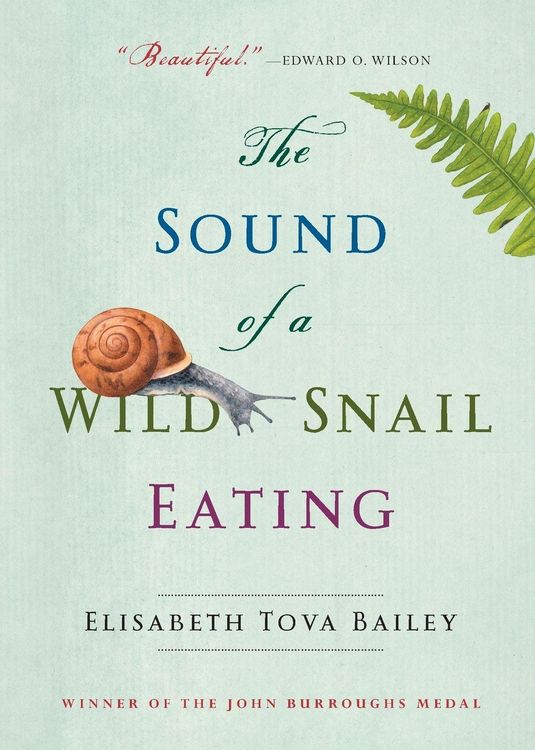 Produktbild: The Sound of a Wild Snail Eating