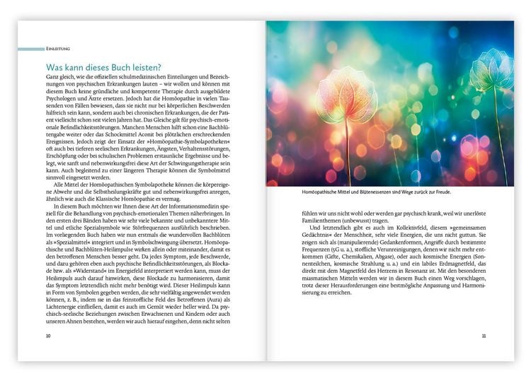 Produktbild: Hom&ouml;opathische Symbolapotheke &ndash; Psyche und Gem&uuml;t