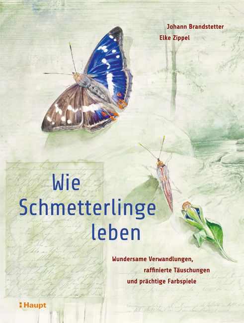 Produktbild: Wie Schmetterlinge leben