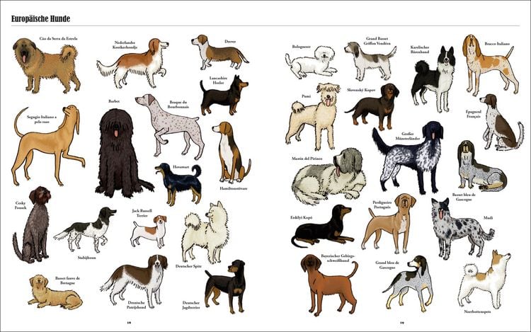 Produktbild: Gro&szlig;e Hunde, kleine Hunde
