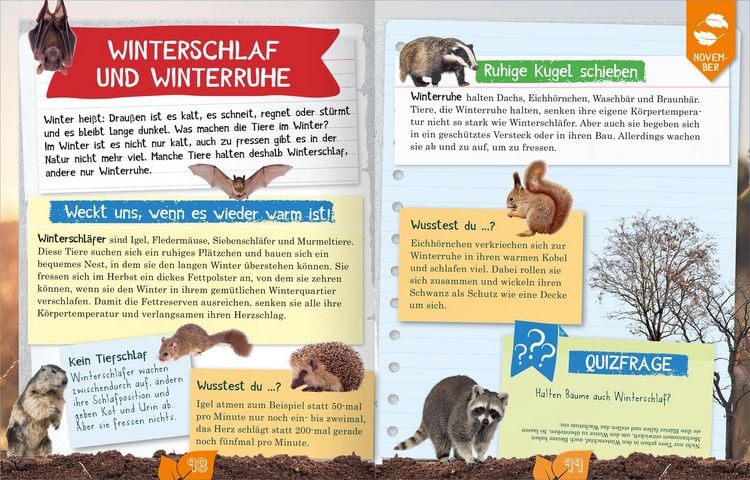 Produktbild: Naturforscher-Kids &ndash; Durch das Jahr