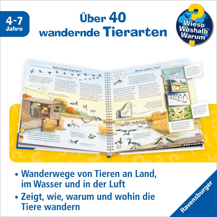 Produktbild: Wieso? Weshalb? Warum? Band 37 - Alles &uuml;ber Tierwanderungen