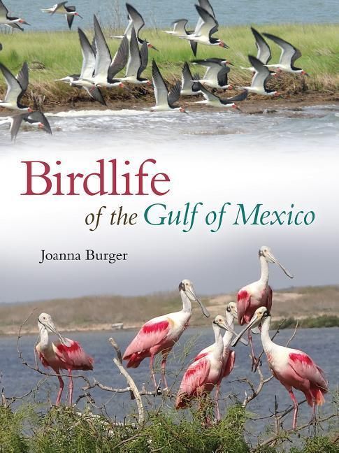 Produktbild: Burger, J: Birdlife of the Gulf of Mexico