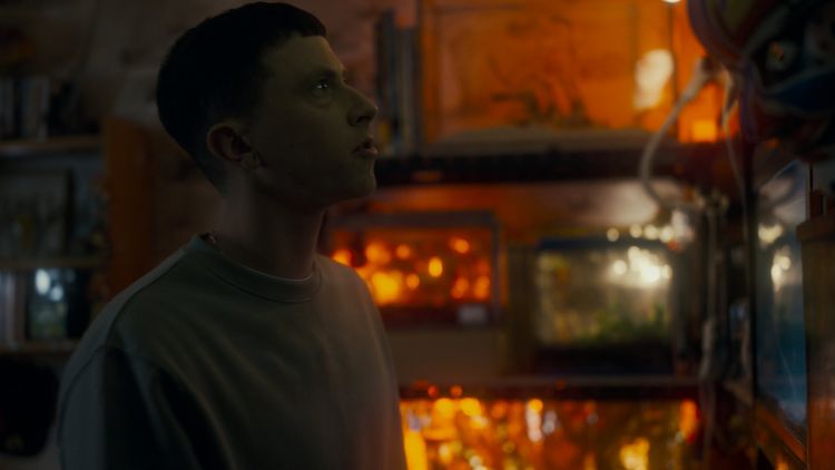 Produktbild: Spiders - Ihr Biss ist der Tod