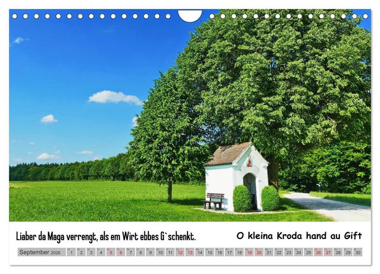 Produktbild: Schw&auml;bische Sprichw&ouml;rter 1 Wi ma hald so said! (Wandkalender 2026 DIN A4 quer), CALVENDO Monatskalender