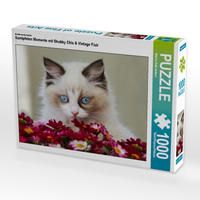 Produktbild: CALVENDO Puzzle Samtpfoten Momente mit Shabby Chic & Vintage Flair 1000 Teile Lege-Gr&ouml;&szlig;e 64 x 48 cm Foto-Puzzle Bild von Marion Rei&szlig;-Seibert