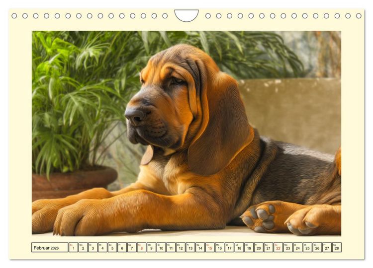 Produktbild: Bloodhound Momente. Zielstrebige Schn&uuml;ffler mit treuer Seele (Wandkalender 2026 DIN A4 quer), CALVENDO Monatskalender
