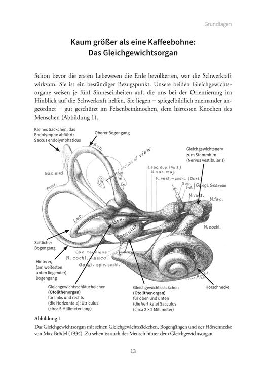 Produktbild: Hilfe bei Schwindel