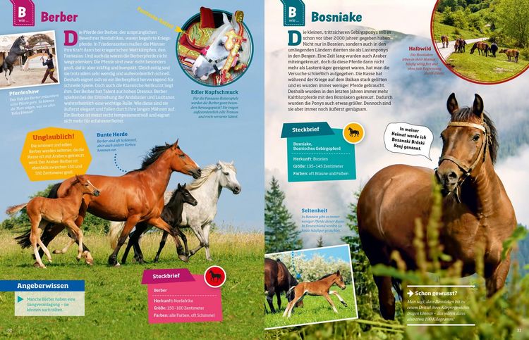 Produktbild: WAS IST WAS Pferde und Ponys