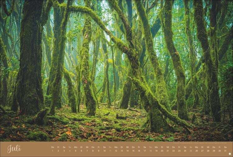 Produktbild: Zauberw&auml;lder Edition Kalender 2027