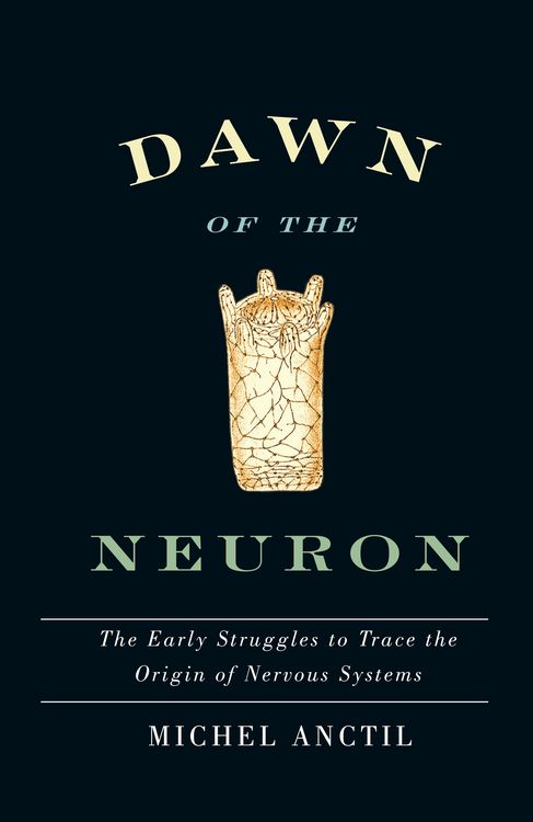Produktbild: Dawn of the Neuron