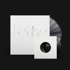 Produktbild: Luster (Ltd. Clear Vinyl + 7 Edit.)