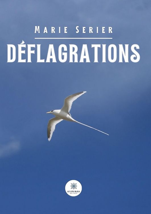 Produktbild: D&eacute;flagrations