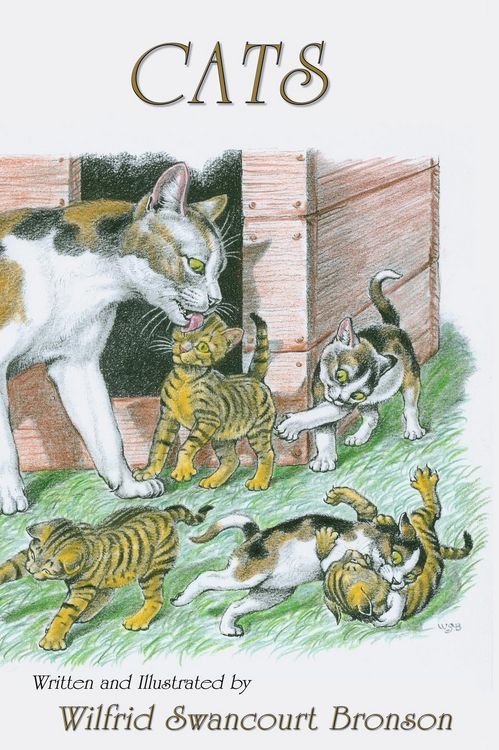 Produktbild: Cats