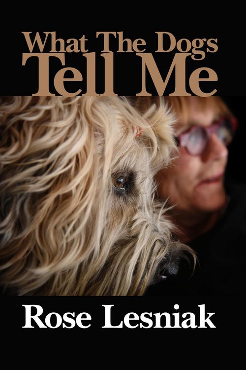Produktbild: What The Dogs Tell Me