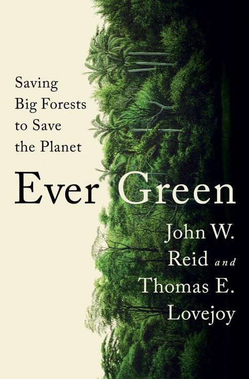 Produktbild: Ever Green