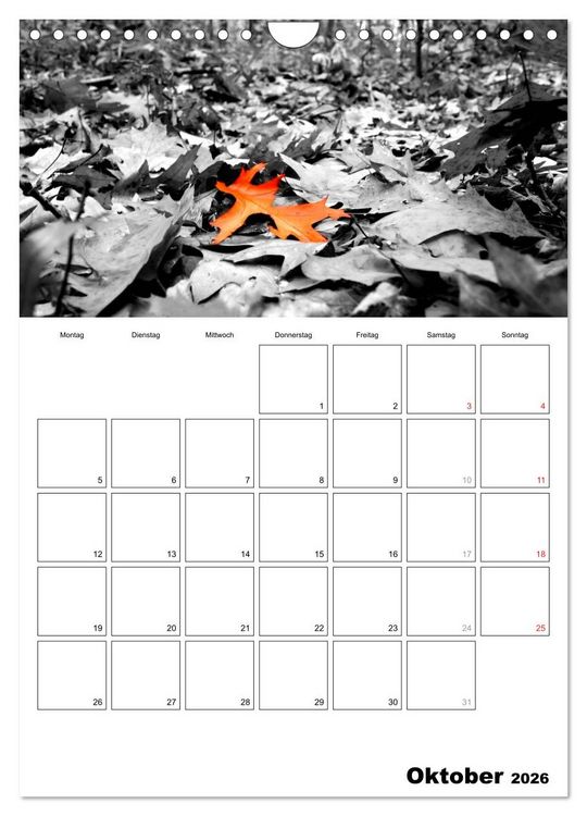 Produktbild: schwarz/wei&szlig; trifft farbe - DEIN TERMINKALENDER / Planer (Wandkalender 2026 DIN A4 hoch), CALVENDO Monatskalender