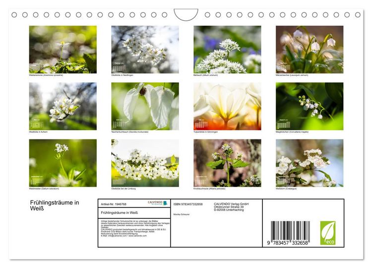 Produktbild: Fr&uuml;hlingstr&auml;ume in Wei&szlig; (Wandkalender 2026 DIN A4 quer), CALVENDO Monatskalender