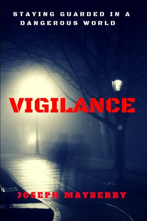 Produktbild: Vigilance
