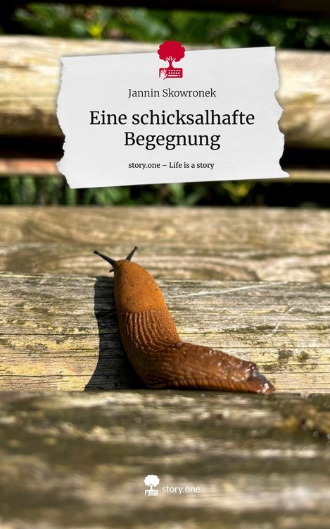 Produktbild: Eine schicksalhafte Begegnung. Life is a Story - story.one