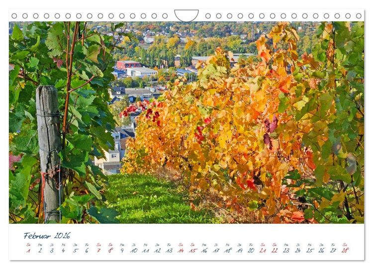 Produktbild: K&ouml;nigswinter-Oberdollendorf &ndash; Traum-Trip durch farbenpr&auml;chtige Weinberge (Wandkalender 2026 DIN A4 quer), CALVENDO Monatskalender