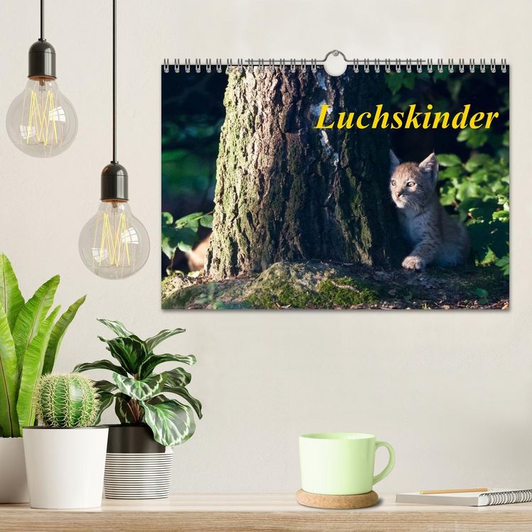 Produktbild: Luchskinder (Wandkalender 2026 DIN A4 quer), CALVENDO Monatskalender