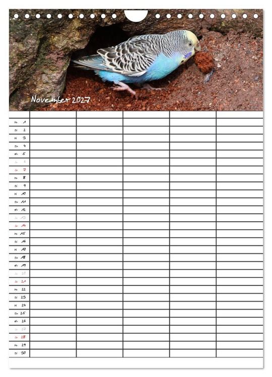 Produktbild: Wellensittiche (Wandkalender 2027 DIN A4 hoch), CALVENDO Monatskalender