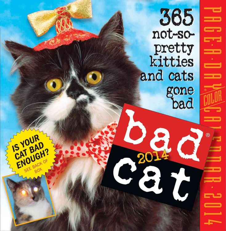 Produktbild: Bad Cat Calendar: 365 Not-So-Pretty Kitties and Cats Gone Bad