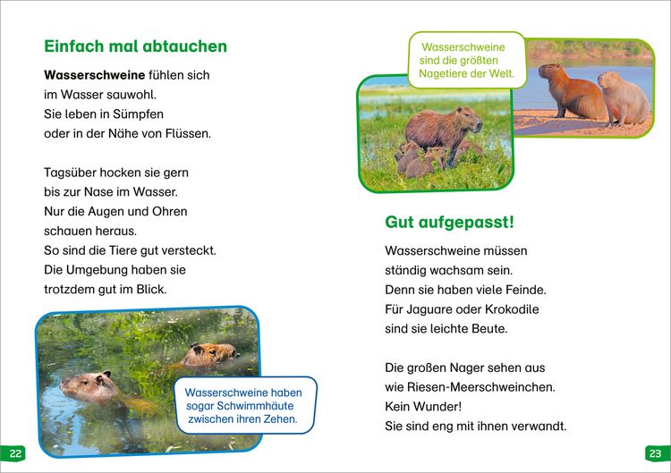 Produktbild: WAS IST WAS Erstes Lesen easy! Band 18. Tiere im Regenwald