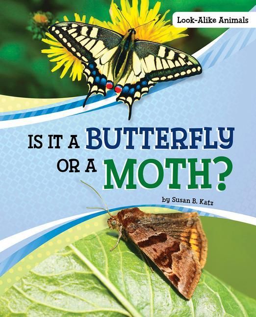 Produktbild: Is It a Butterfly or a Moth?