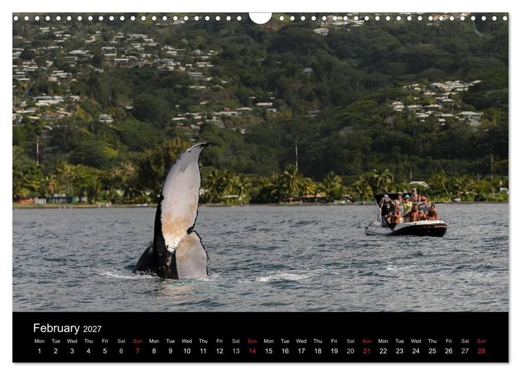 Produktbild: Bora Bora, Paradise islands (Wall Calendar 2027 DIN A3 landscape), CALVENDO 12 Month Wall Calendar