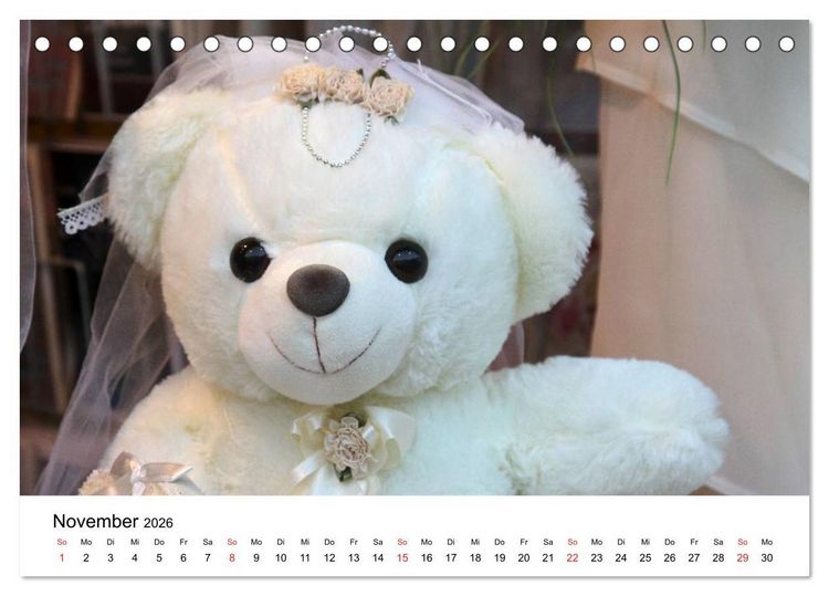 Produktbild: Teddys...jeder liebt sie (Tischkalender 2026 DIN A5 quer), CALVENDO Monatskalender