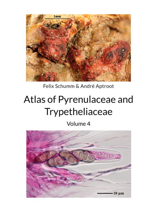 Produktbild: Atlas of Pyrenulaceae and Trypetheliaceae Vol 4