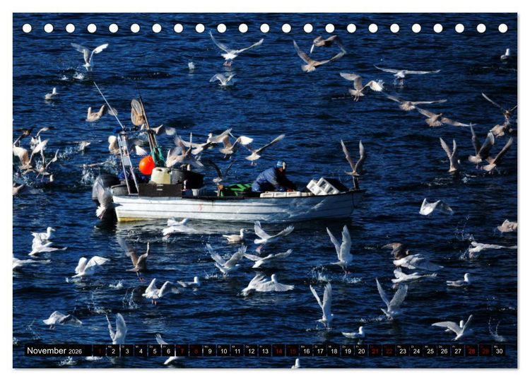 Produktbild: GR&Ouml;NLAND Eisfjord und Diskobucht (Tischkalender 2026 DIN A5 quer), CALVENDO Monatskalender