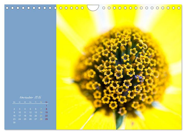 Produktbild: Bl&uuml;tenstil (Wandkalender 2026 DIN A4 quer), CALVENDO Monatskalender