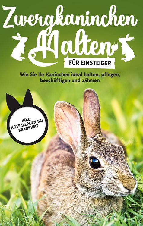 Produktbild: Zwergkaninchen halten f&uuml;r Einsteiger: Wie Sie Ihr Kaninchen ideal halten, pflegen, besch&auml;ftigen und z&auml;hmen - inkl. Notfallplan bei Krankheit