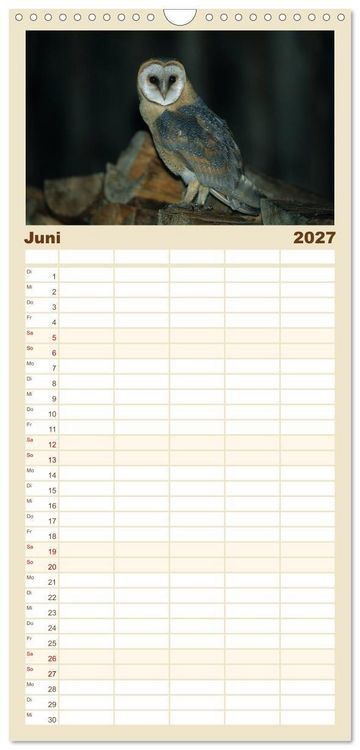 Produktbild: Familienplaner 2027 - Heimische Eulen und Greife mit 5 Spalten (Wandkalender, 21 x 45 cm) CALVENDO