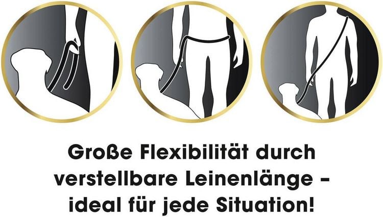 Produktbild: GoLeyGo Hundeleine & Halsband L schwarz