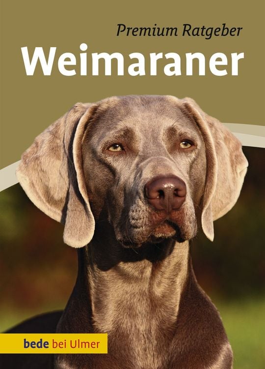 Bild vom Artikel Weimaraner vom Autor Annette Schmitt