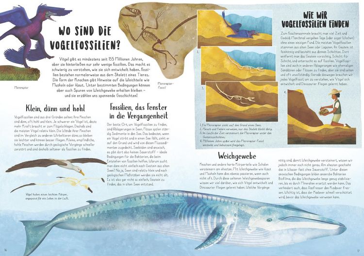 Produktbild: Vom Tyrannosaurus zum Huhn