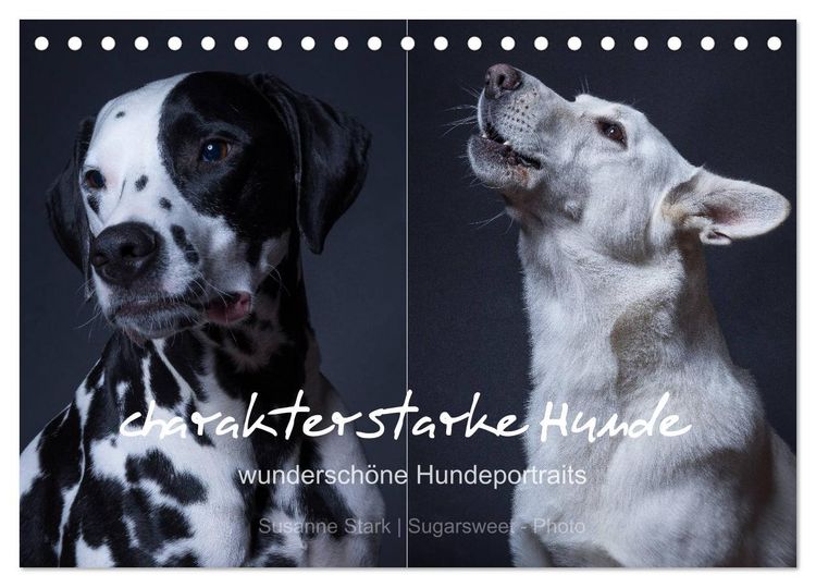 Produktbild: charakterstarke Hunde, wundersch&ouml;ne Hundeportraits (Tischkalender 2026 DIN A5 quer), CALVENDO Monatskalender