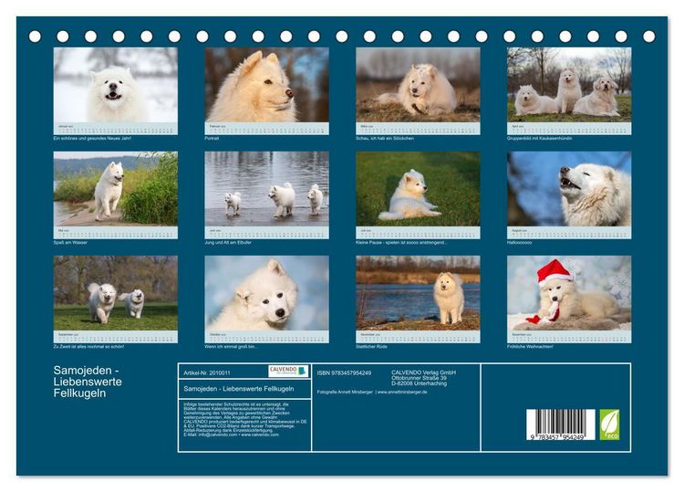 Produktbild: Samojeden - Liebenswerte Fellkugeln (Tischkalender 2026 DIN A5 quer), CALVENDO Monatskalender