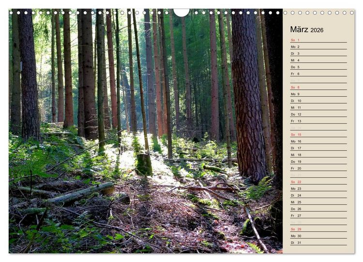 Produktbild: Bad Orb - Romantik im Spessart (Wandkalender 2026 DIN A3 quer), CALVENDO Monatskalender