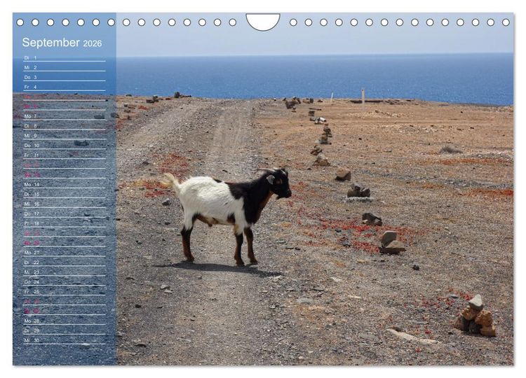 Produktbild: Fuerteventura in Ruhe (Wandkalender 2026 DIN A4 quer), CALVENDO Monatskalender
