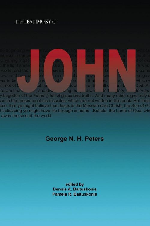 Produktbild: The Testimony Of John