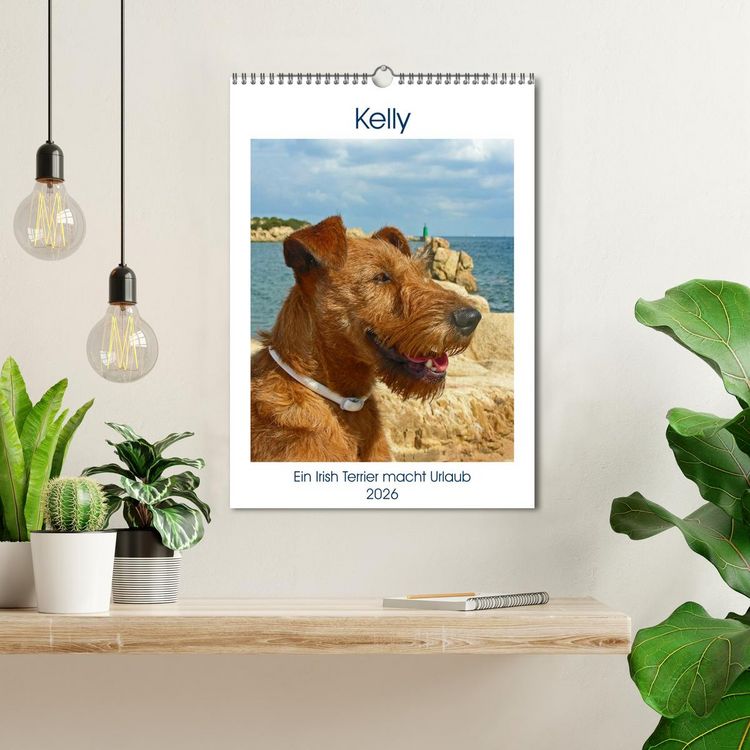 Produktbild: Kelly - Ein Irish Terrier macht Urlaub (Wandkalender 2026 DIN A3 hoch), CALVENDO Monatskalender