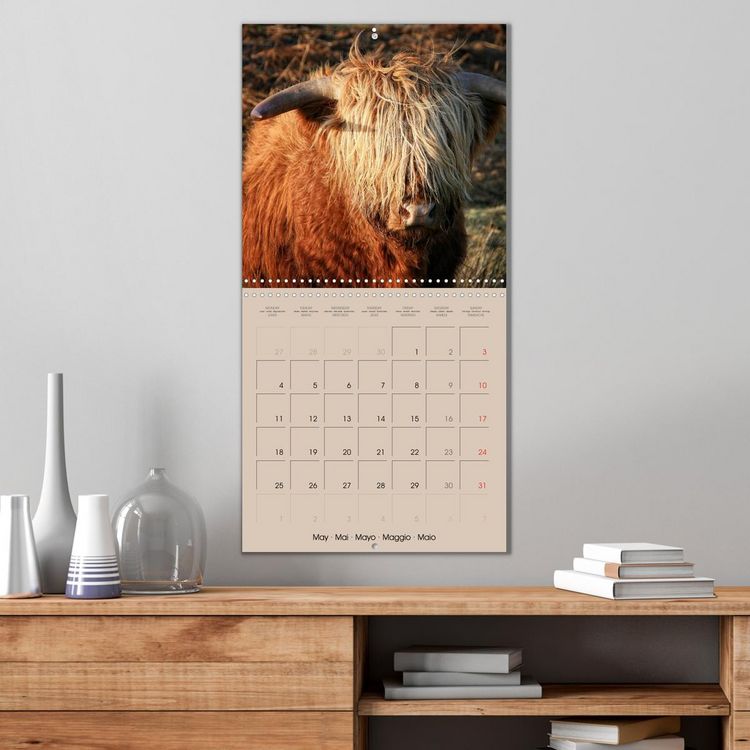 Produktbild: Highland Cows (Wall Calendar 2026 12 &times; 12 Inch) CALVENDO 12 Month Wall Calendar