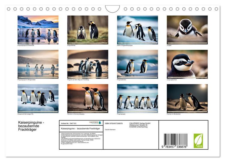 Produktbild: Kaiserpinguine - bezaubernde Fracktr&auml;ger (Wandkalender 2026 DIN A4 quer), CALVENDO Monatskalender