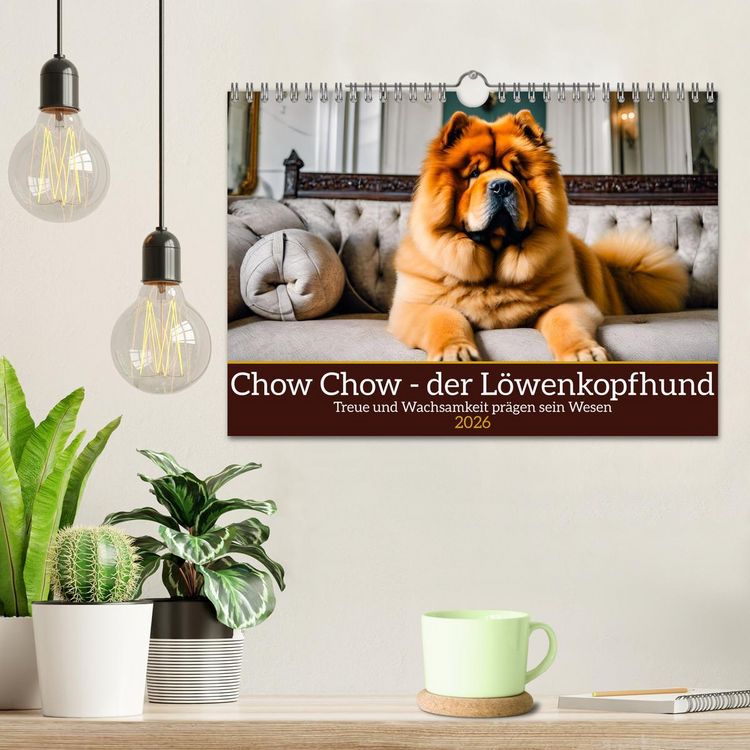 Produktbild: Chow Chow - der L&ouml;wenkopfhund (Wandkalender 2026 DIN A4 quer), CALVENDO Monatskalender