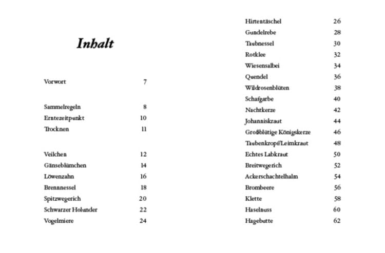 Das große kleine Buch: Kräuterwanderung mit Kindern